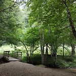 De 25 Chemin Du Grand Pacher Le Bourg De 63120 Sauviat