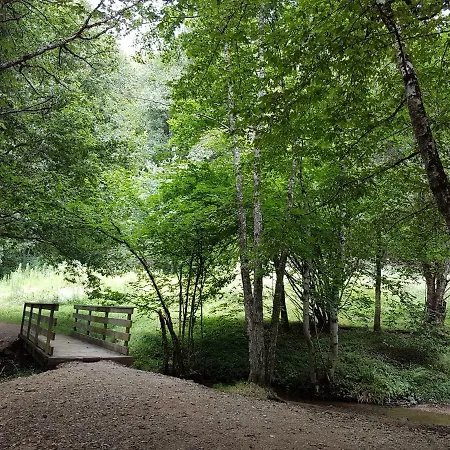 De 25 Chemin Du Grand Pacher Le Bourg De 63120 Sauviat