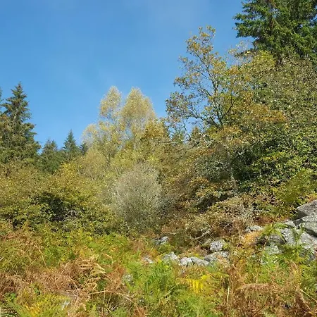 Σπίτι διακοπών De 25 Chemin Du Grand Pacher Le Bourg De 63120 Sauviat