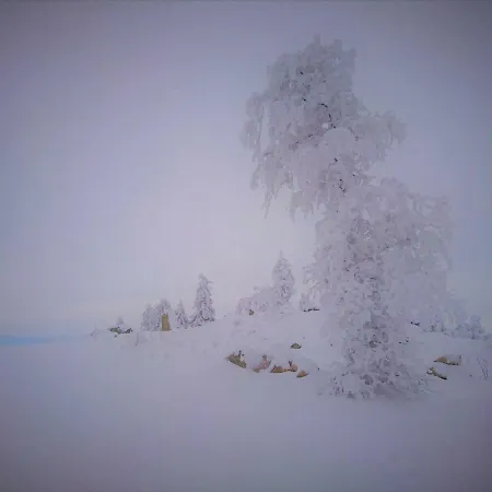 De 25 Chemin Du Grand Pacher Le Bourg De 63120 Sauviat