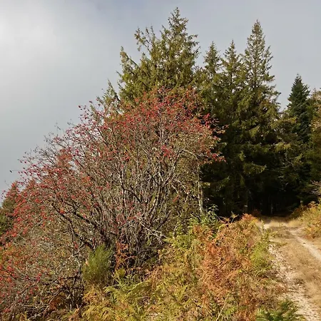Σπίτι διακοπών De 25 Chemin Du Grand Pacher Le Bourg De 63120 *