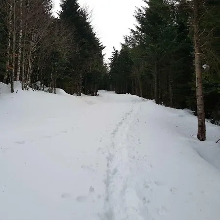 De 25 Chemin Du Grand Pacher Le Bourg De 63120 Σπίτι διακοπών *