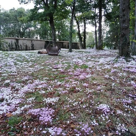 De 25 Chemin Du Grand Pacher Le Bourg De 63120 Sauviat