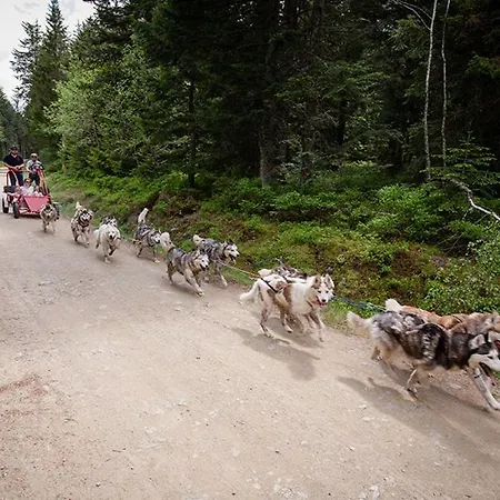 De 25 Chemin Du Grand Pacher Le Bourg De 63120 Ferienhaus *