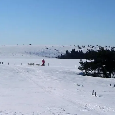 De 25 Chemin Du Grand Pacher Le Bourg De 63120 Sauviat