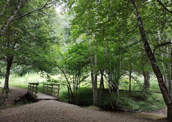 De 25 Chemin Du Grand Pacher Le Bourg De 63120 Sauviat