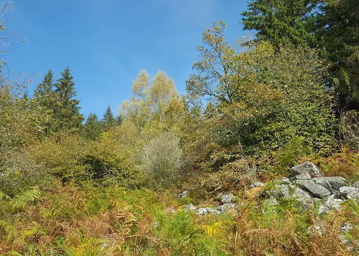 Prázdninový dům De 25 Chemin Du Grand Pacher Le Bourg De 63120 Sauviat