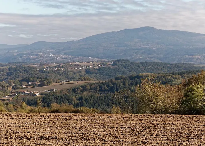 De 25 Chemin Du Grand Pacher Le Bourg De 63120 Sauviat