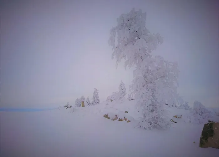 De 25 Chemin Du Grand Pacher Le Bourg De 63120 Sauviat