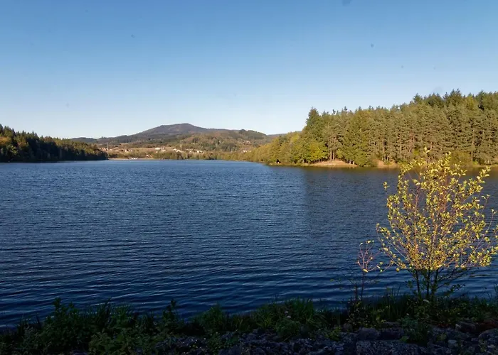 Prázdninový dům De 25 Chemin Du Grand Pacher Le Bourg De 63120 *