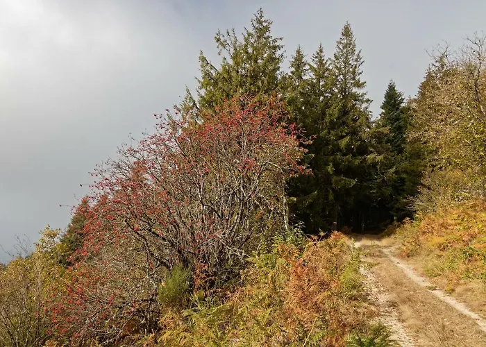 Prázdninový dům De 25 Chemin Du Grand Pacher Le Bourg De 63120 *