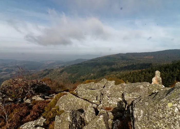 De 25 Chemin Du Grand Pacher Le Bourg De 63120 *