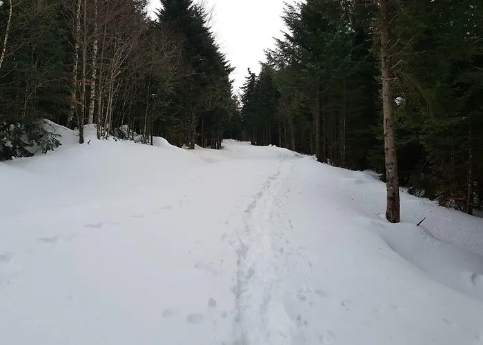 De 25 Chemin Du Grand Pacher Le Bourg De 63120 Prázdninový dům *