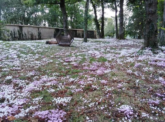 De 25 Chemin Du Grand Pacher Le Bourg De 63120 Sauviat