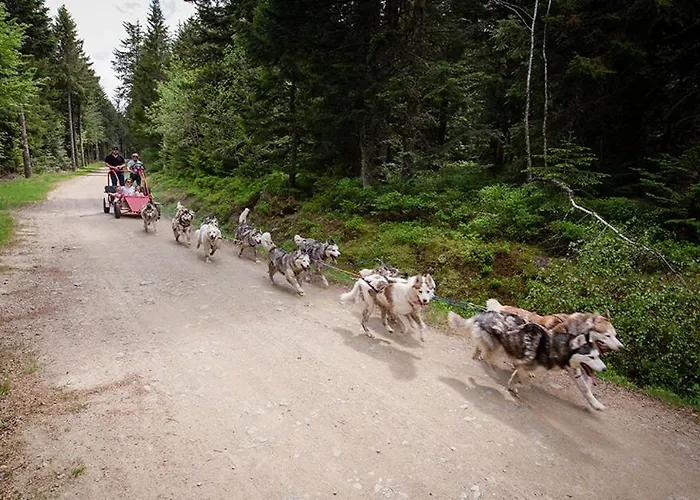 De 25 Chemin Du Grand Pacher Le Bourg De 63120 Prázdninový dům *