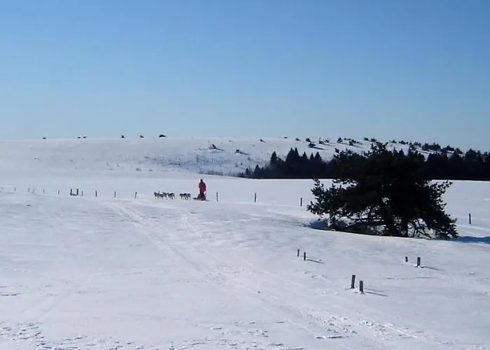 De 25 Chemin Du Grand Pacher Le Bourg De 63120 Sauviat