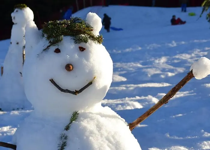 Prázdninový dům De 25 Chemin Du Grand Pacher Le Bourg De 63120 *